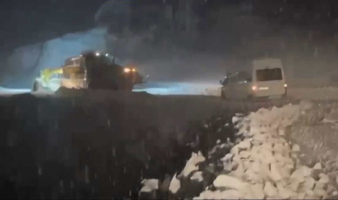 Siirt’in Şirvan, Eruh, Pervari, Baykan ve Tillo ilçelerinde kar yağışı