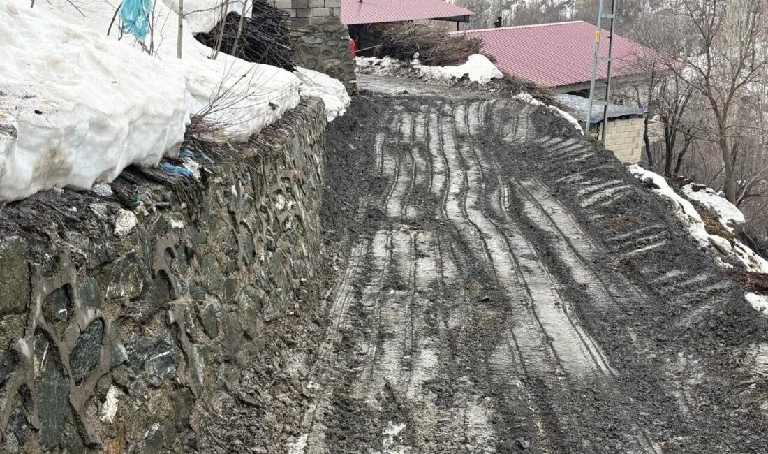 Siirt’te sağanak yağışta meydana gelen heyelan ve kaya düşmeleri sonucu