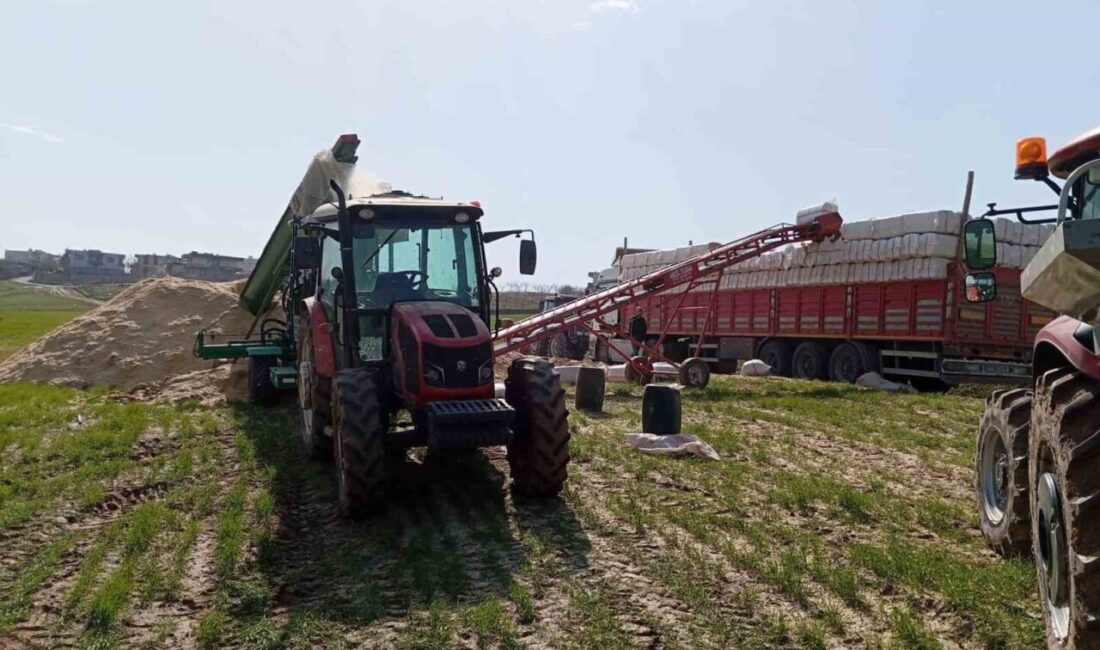 Siirt’in Kurtalan ilçesinde saman presleme sırasında yanında silah bulunduran kişi