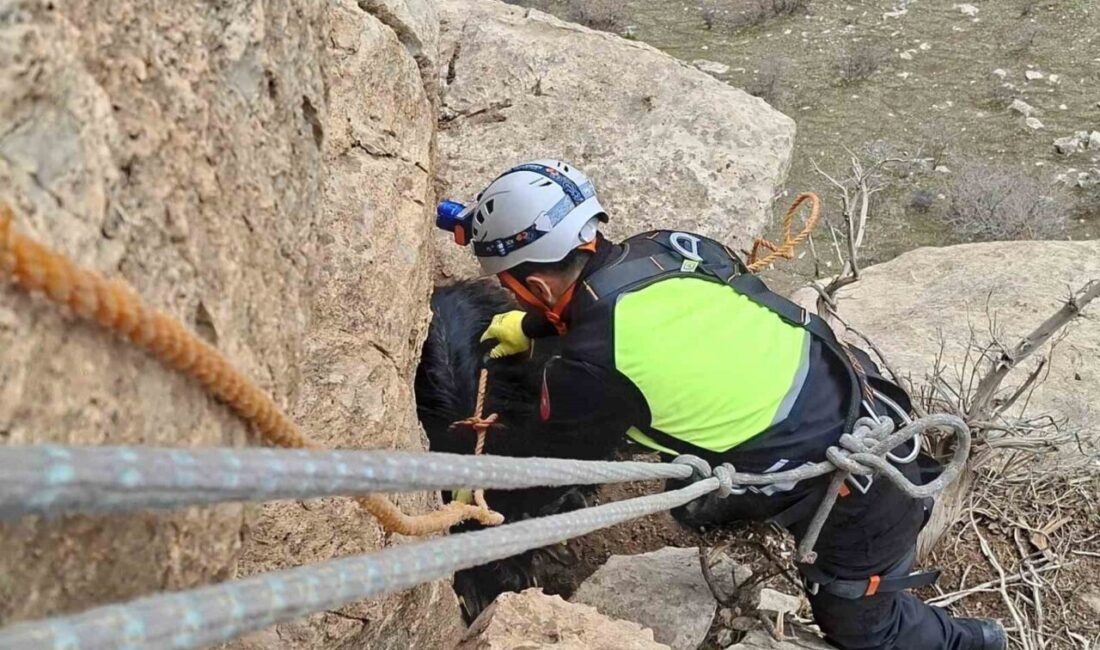 Siirt’in Eruh ilçesinde dağlık bölgede üç gündür mahsur kalan keçi,