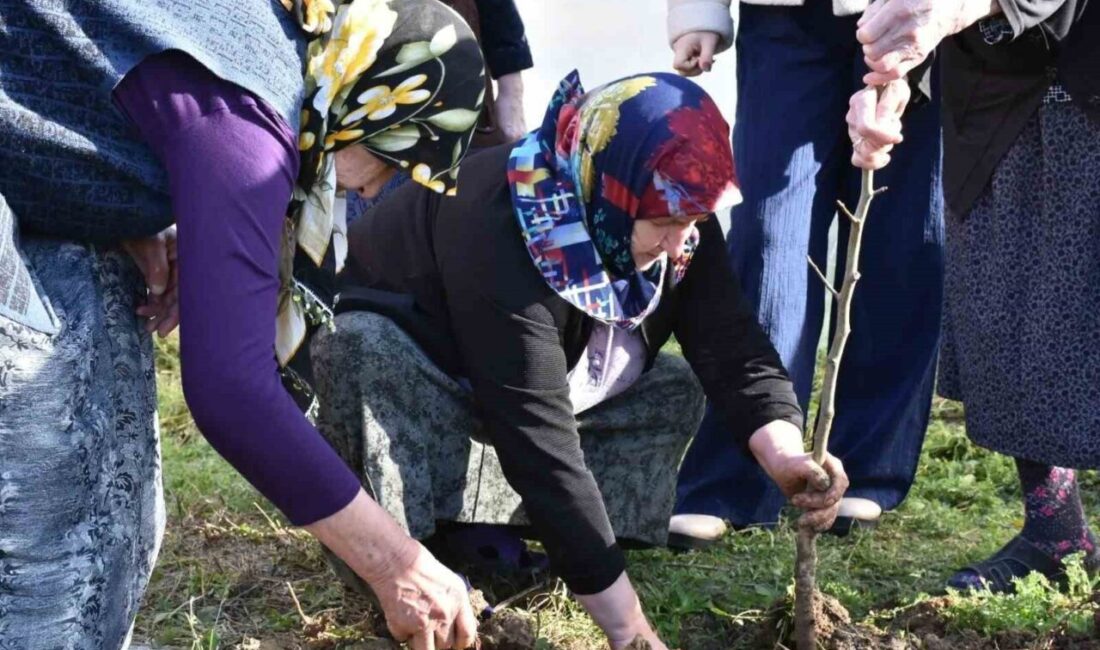 Sinop Huzurevi Yaşlı Bakım ve Rehabilitasyon Merkezi bahçesinde, huzurevi sakinleri