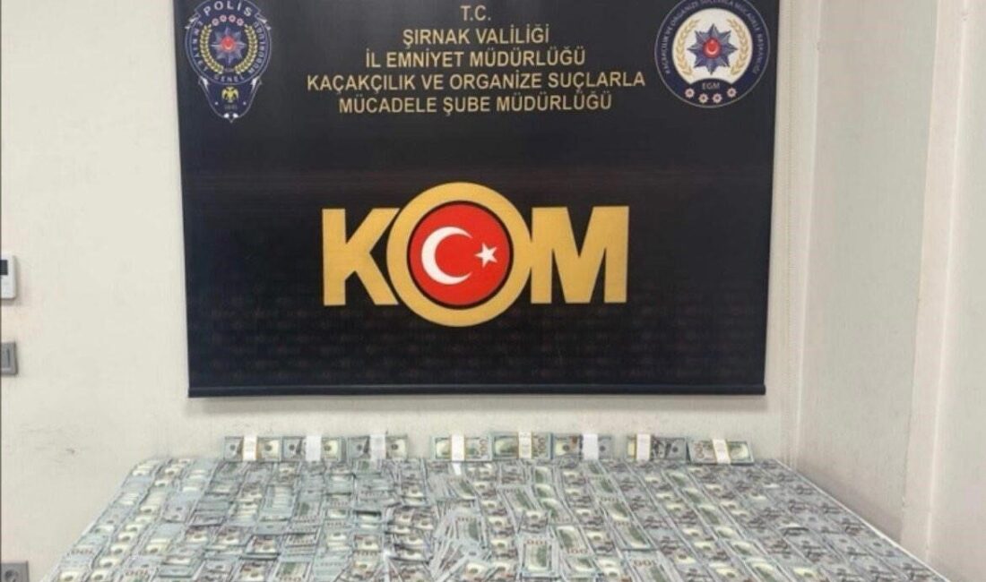 Şırnak İl Emniyet Müdürlüğü ekipleri tarafından Şırnak il merkezi ve