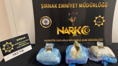 Şırnak’ta yapılan asayiş, narkotik ve kaçakçılık çalışmalarında hakkında işlem yapılan