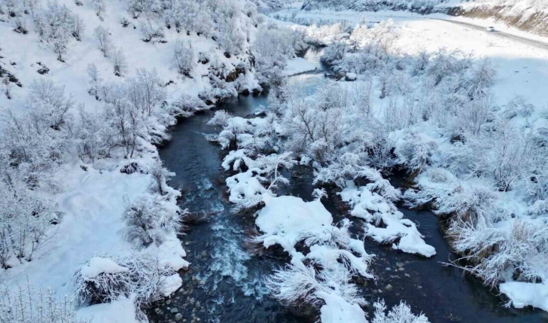 Şırnak’ta yoğun kar yağışı nedeni ile beyaza bürünen dağ ve