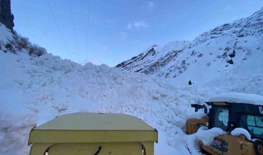 Şırnak’ın Beytüşşebap ilçesinde düşen çığ nedeniyle 4 köy yolu ulaşıma
