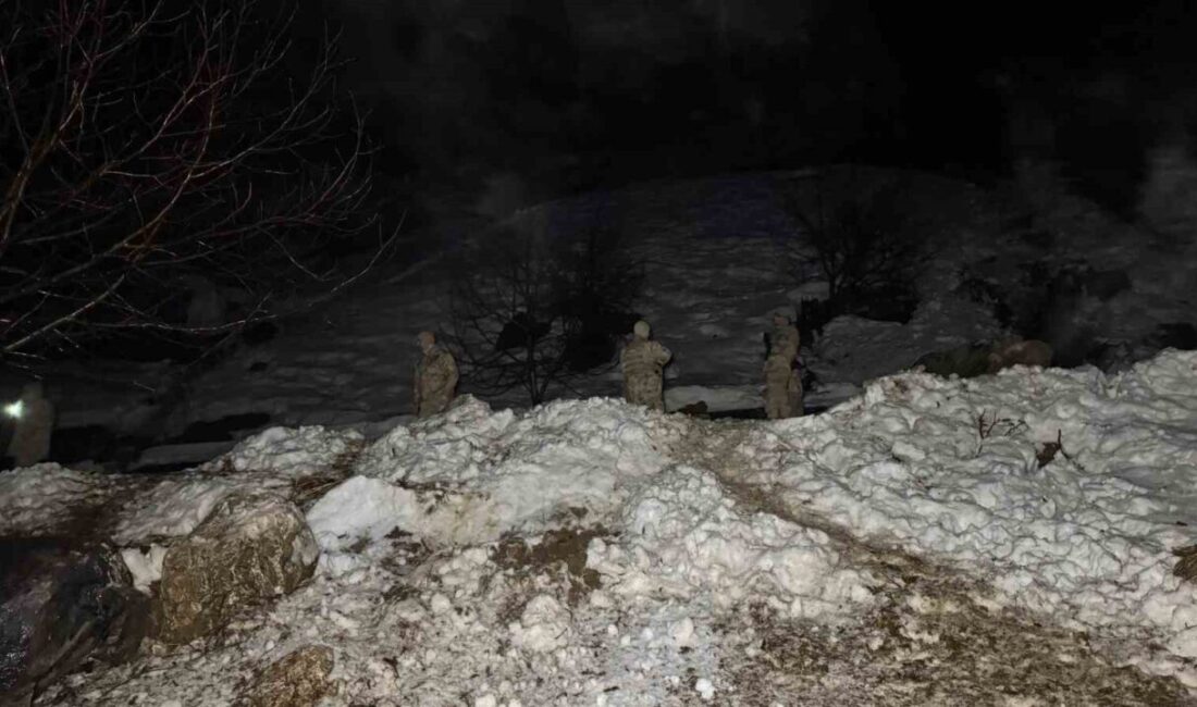 Şırnak’ın Beytüşşebap ilçesine bağlı Ayvalık köyünde şiddetli sağanağın ardından dağdan