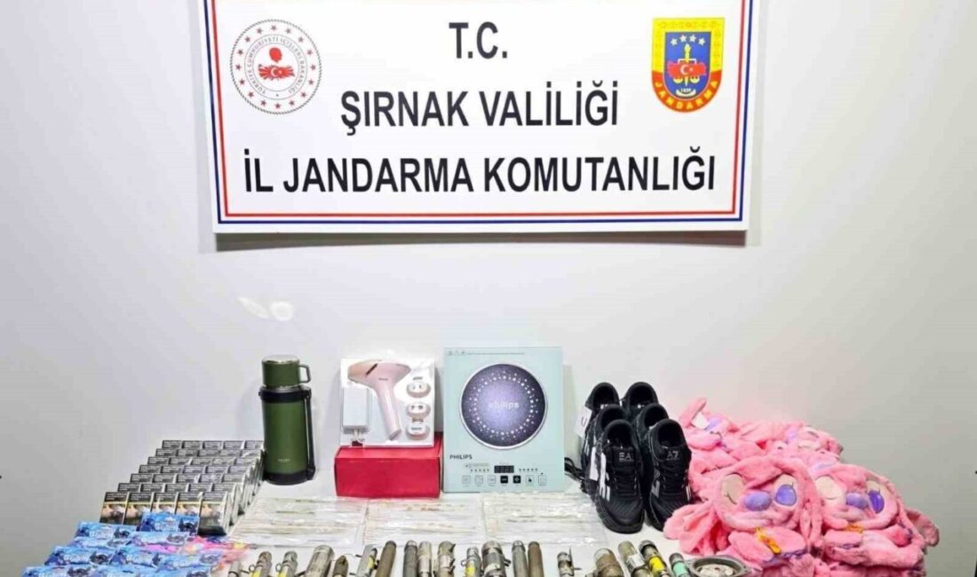 Şırnak İl Jandarma Komutanlığı Kaçakçılık ve Organize Suçlarla Mücadele, Asayiş