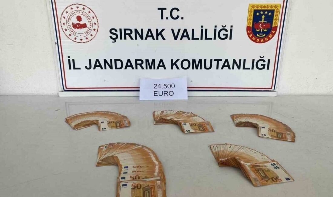 Şırnak Valiliği İl Jandarma Komutanlığı ekiplerince kaçakçılıkla mücadele ve aranan