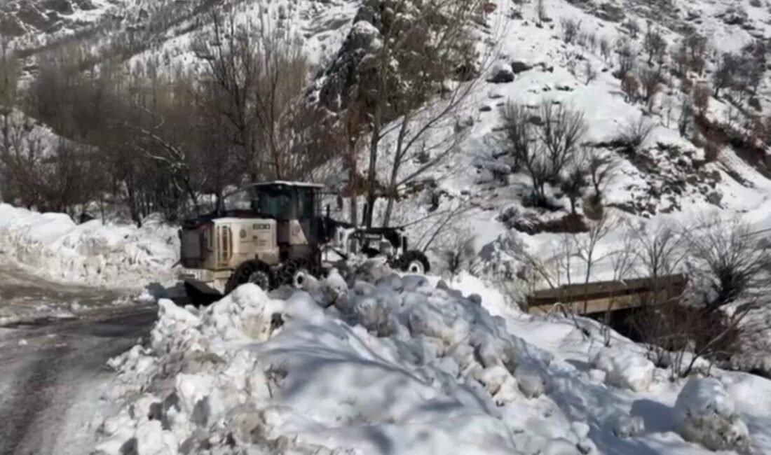 Şırnak’ta yoğun kar yağışı nedeni ile kapanan yolların açılması için