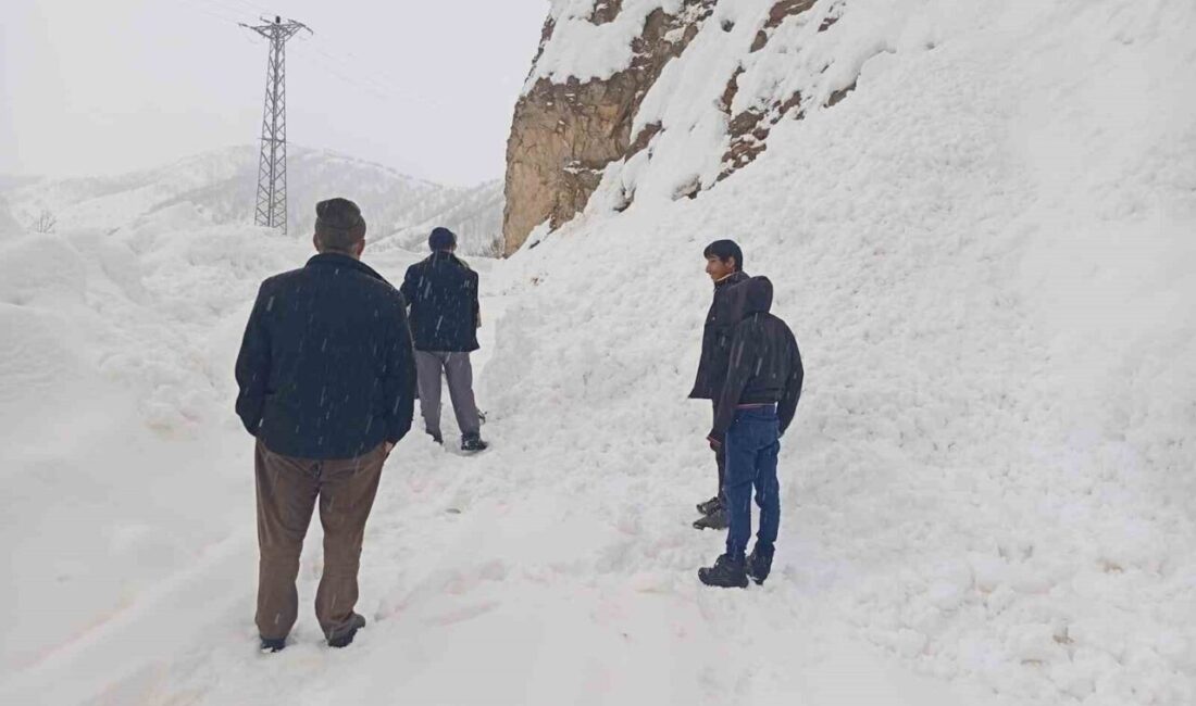 Siirt’in Şirvan ilçesinde kar yağışı nedeniyle yolda kalan araçlar kurtarıldı.