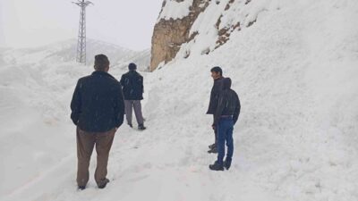 Siirt’in Şirvan ilçesinde kar yağışı nedeniyle yolda kalan araçlar kurtarıldı.