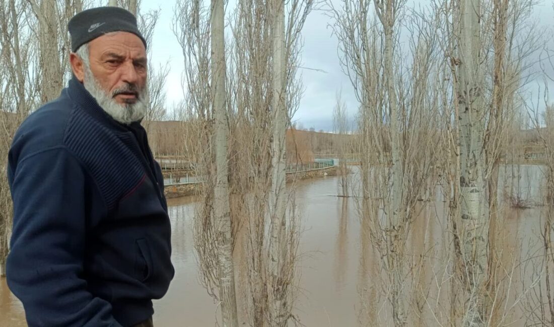 Sivas’ın Yıldızeli ilçesinde eriyen karların neden olduğu dere taşkınlarında tarım