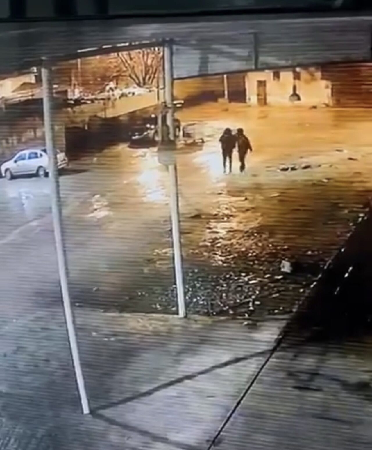 Şanlıurfa’nın Siverek ilçesinde bir ahırdan 19 koyunun çalınma anı güvenlik