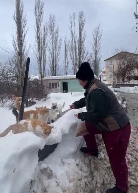 İstanbul’da yaşayan Selin İlhan (33) her yıl belirli dönemlerde Diyarbakır’ın