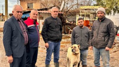 Aydın’ın Söke ilçesinde son günlerde etkili olan aşırı yağışların ardından