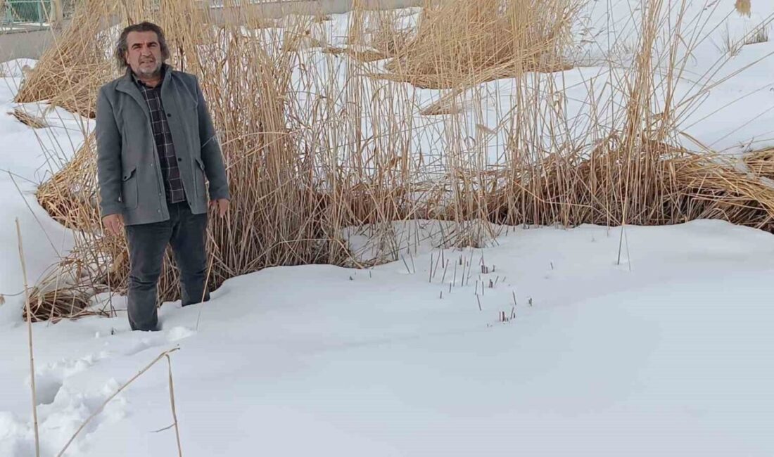 Van Yüzüncü Yıl Üniversitesi (YYÜ) Yaban Hayvanları Koruma ve Rehabilitasyon