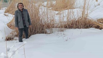 Van Yüzüncü Yıl Üniversitesi (YYÜ) Yaban Hayvanları Koruma ve Rehabilitasyon