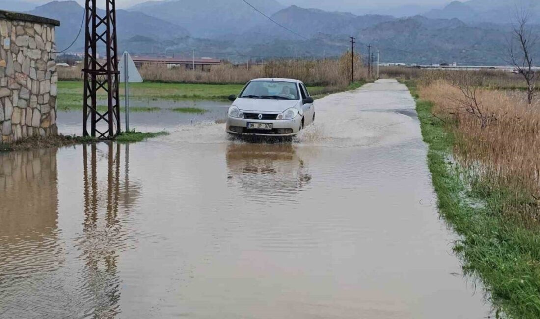 Aydın’ın Sultanhisar ilçesine bağlı Atça Mahallesi Çomaklı Ovası’nda bulunan Kokar