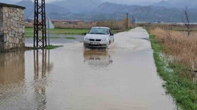 Aydın’ın Sultanhisar ilçesine bağlı Atça Mahallesi Çomaklı Ovası’nda bulunan Kokar