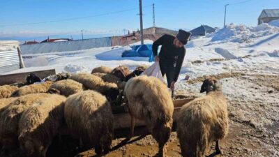 Bitlis’in Adilcevaz ilçesinde Türkiye’nin üçüncü yüksek dağı olan Süphan Dağı’nın