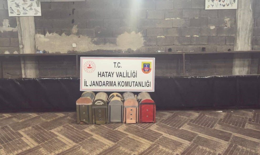 Hatay’ın Dörtyol ilçesinde Süs Kanatlı Sokak Hayvanları Koruma Derneği’nde horoz