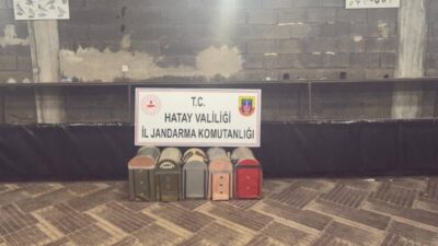 Hatay’ın Dörtyol ilçesinde Süs Kanatlı Sokak Hayvanları Koruma Derneği’nde horoz