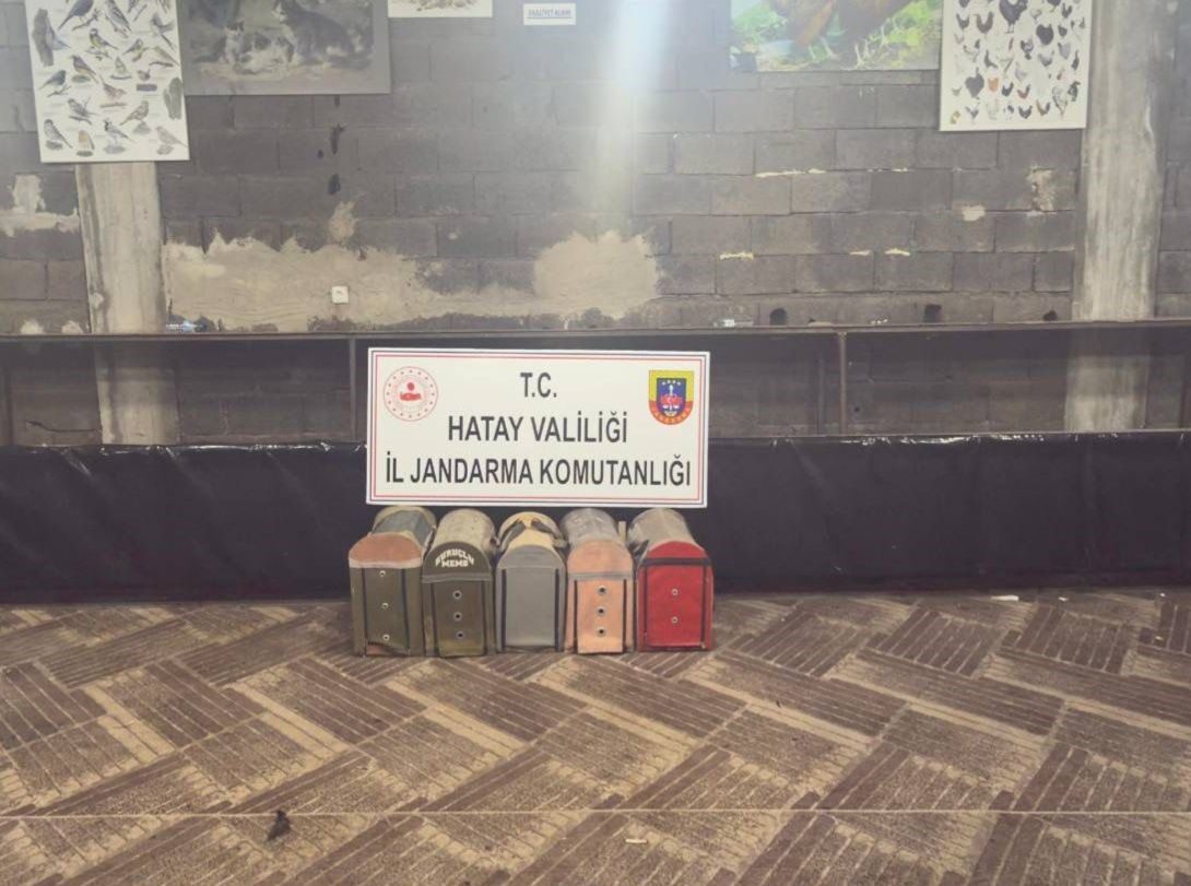 Hatay’ın Dörtyol ilçesinde Süs Kanatlı Sokak Hayvanları Koruma Derneği’nde horoz