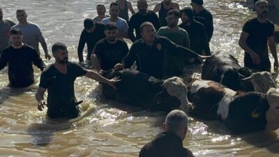 Manisa’da etkili olan sağanak yağışların ardından Gediz Nehri’nin taşmasıyla oluşan