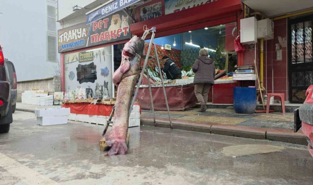 Edirne’de Meriç Nehri’nde son iki haftadır etkili olan taşkınlar ilginç