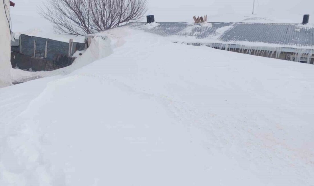 Ağrı’nın Taşlıçay ilçesine bağlı Gündoğdu köyünde etkili olan yoğun kar