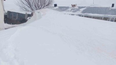 Ağrı’nın Taşlıçay ilçesine bağlı Gündoğdu köyünde etkili olan yoğun kar