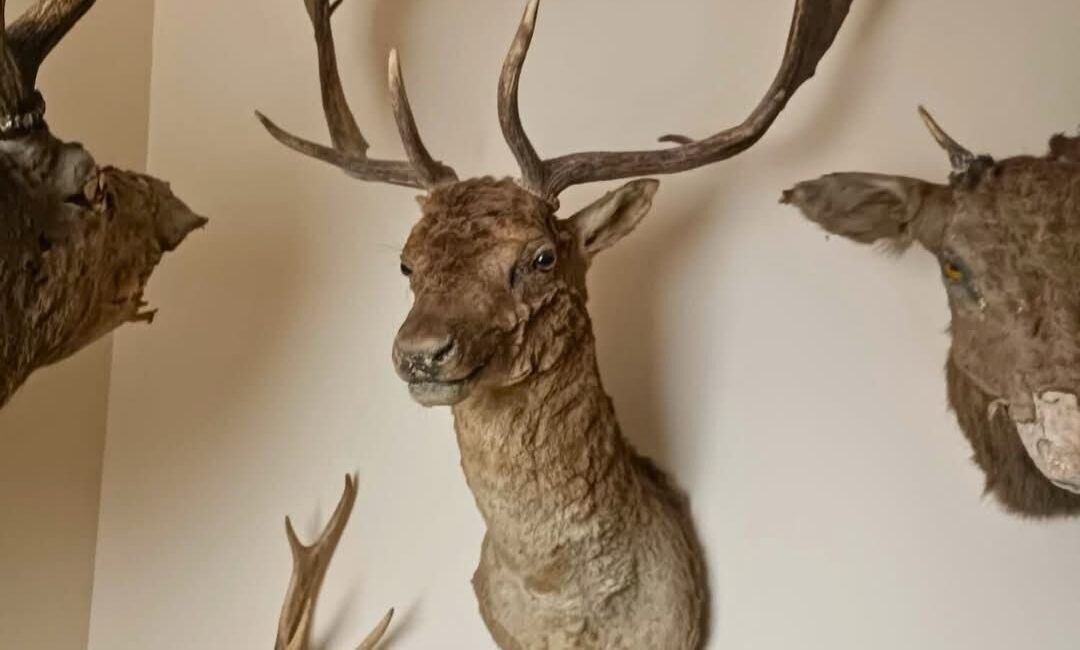 Tekirdağ Tarım ve Orman İl Müdürlüğü ekipleri ile kolluk kuvvetlerinin