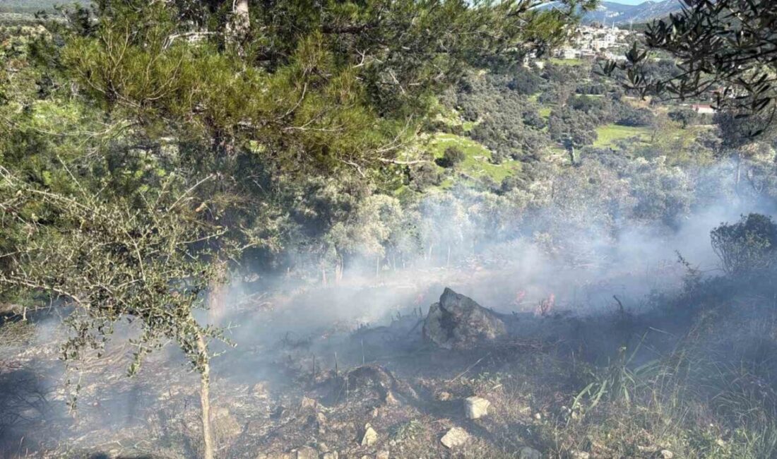 Muğla’nın Bodrum ilçesinde temizlik için yakılan ateş kontrolden çıkınca alevleri