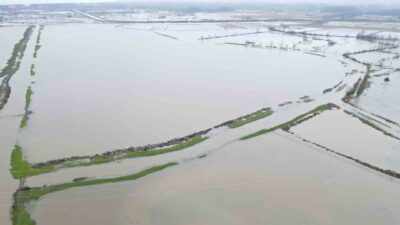 Samsun’un Terme ilçesinde sağanak sonrası tarım alanları suyla kaplanırken, yüksek