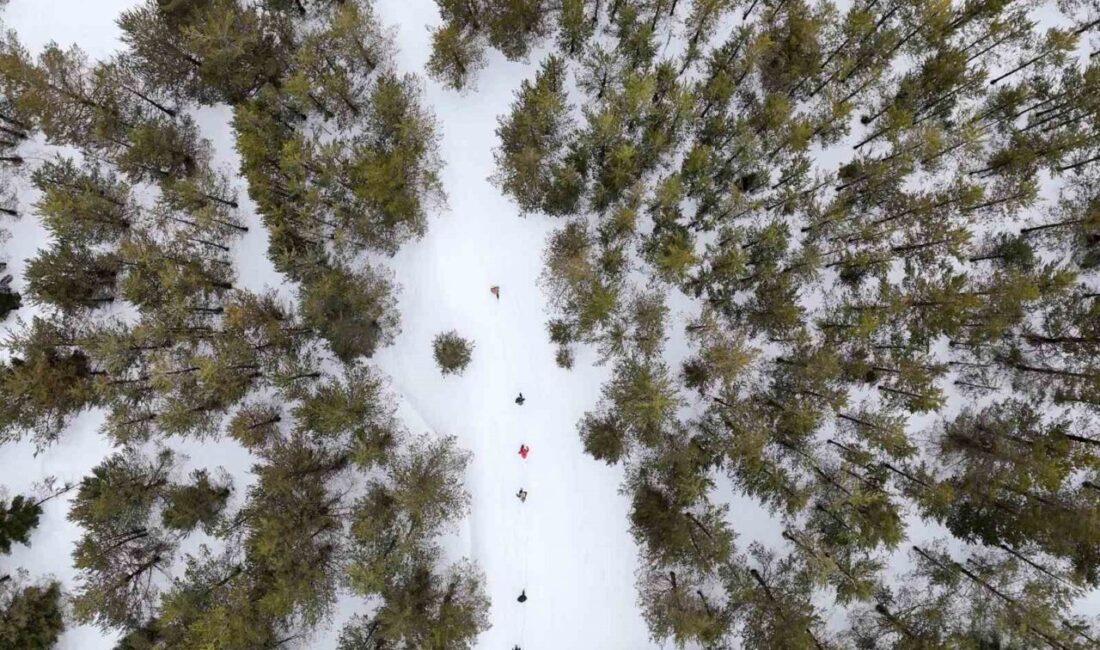Gümüşhane Dağcılık, Doğa Sporları, Gençlik ve Spor Kulübü Derneği (GÜDAK)