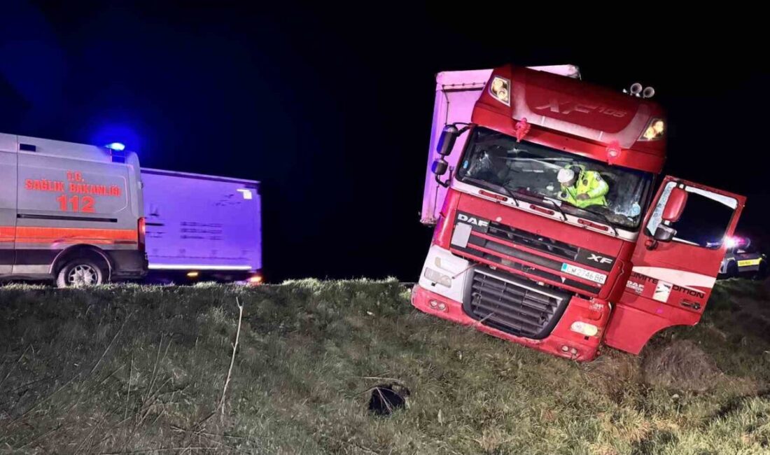 Edirne Hamzabeyli Sınır Kapısı yolunda kontrolden çıkan tır, şarampolün eşiğinde