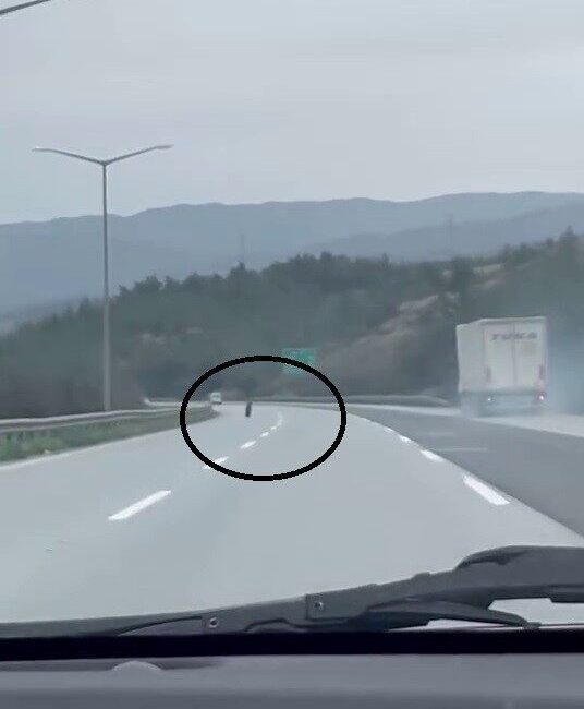 Hatay’da otobanda seyir halindeki tırdan fırlayan lastiğin başıboş halde ilerlediği