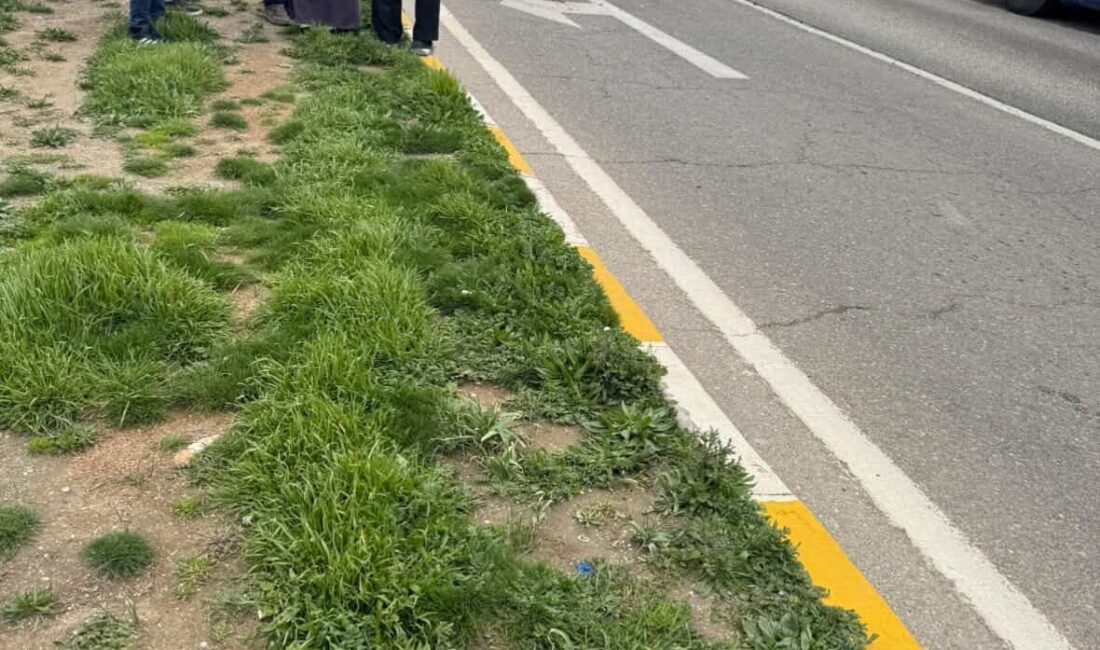 Hatay’da yolun karşısına geçerken tırın çarptığı 75 yaşındaki adam hayatını