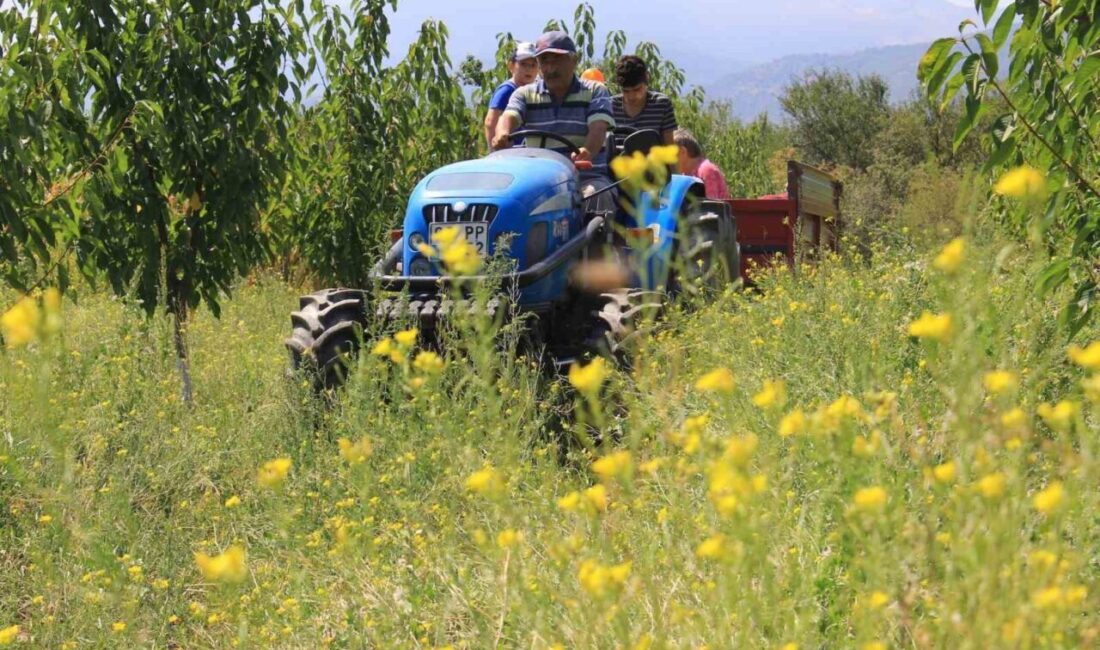 Türkiye’deki 2 milyon 315 bin 504 traktörün yüzde 34’ü 10