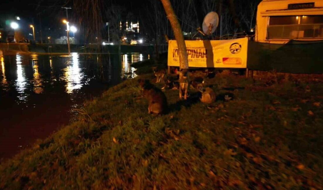 Edirne’de Tunca Nehri’nin taşması sonucu, Kırkpınar Yağlı Güreşleri’nin yapıldığı Sarayiçi