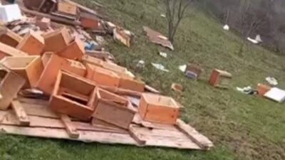 Sinop’un Türkeli ilçesine bağlı Çatakgeriş köyünde etkili olan fırtına, arı