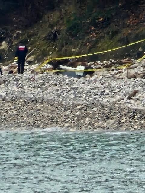 Sinop’un Türkeli ilçesinde sahilde yürüyüş yapan vatandaşlar, deniz kenarında metal