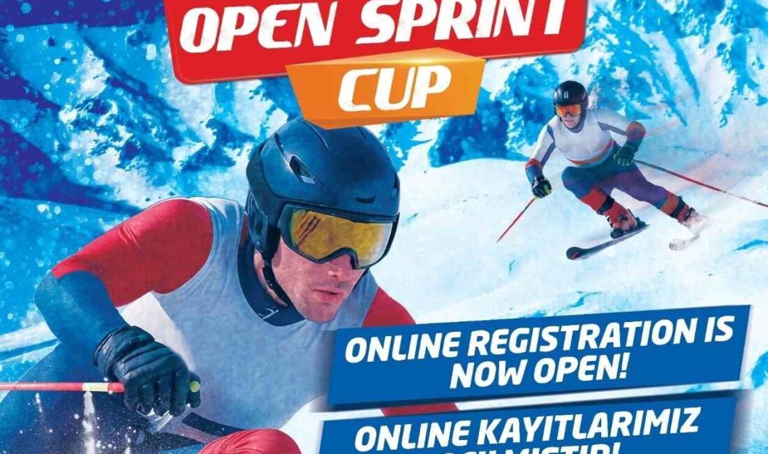 Spor A.Ş., Erciyes A.Ş., Türkiye Dağcılık Federasyonu ve International Ski