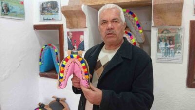 Türkiye’de tek tırnaklı hayvan varlığı 20 yılda büyük düşüş gösterirken,