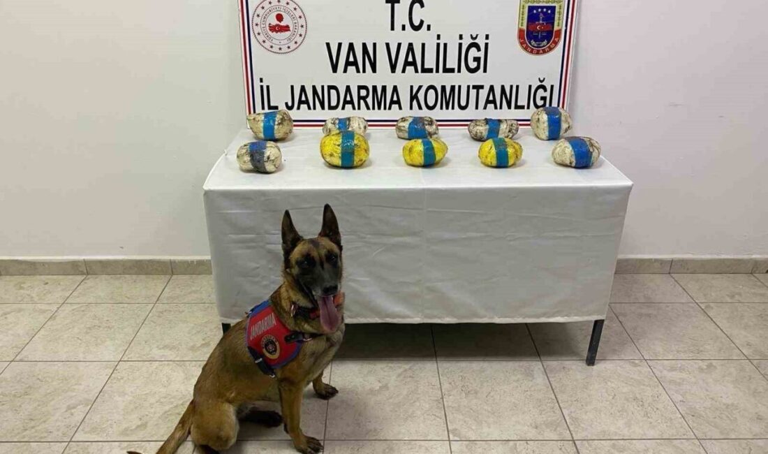 Van’ın Tuşba ilçesinde jandarma ekiplerince yürütülen çalışmalar sonucunda 11 kilo