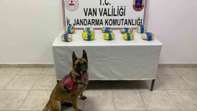 Van’ın Tuşba ilçesinde jandarma ekiplerince yürütülen çalışmalar sonucunda 11 kilo