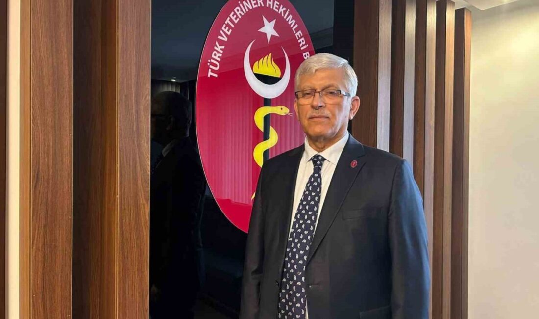 Türk Veteriner Hekimleri Birliği (TVHB) Başkanı Ali Eroğlu, “Elim felakette