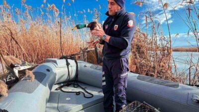 Bursa’da, Nilüfer Jandarma Asayiş Bot Komutanlığı 4915 sayılı Kara Avcılığı