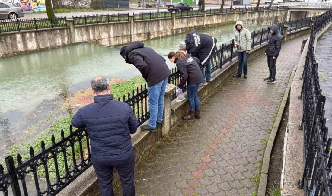 Sakarya’nın Hendek ilçesinin merkezinden geçen Uludere Çayı’nda çok sayıda ölü