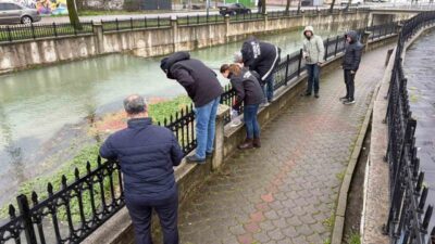 Sakarya’nın Hendek ilçesinin merkezinden geçen Uludere Çayı’nda çok sayıda ölü